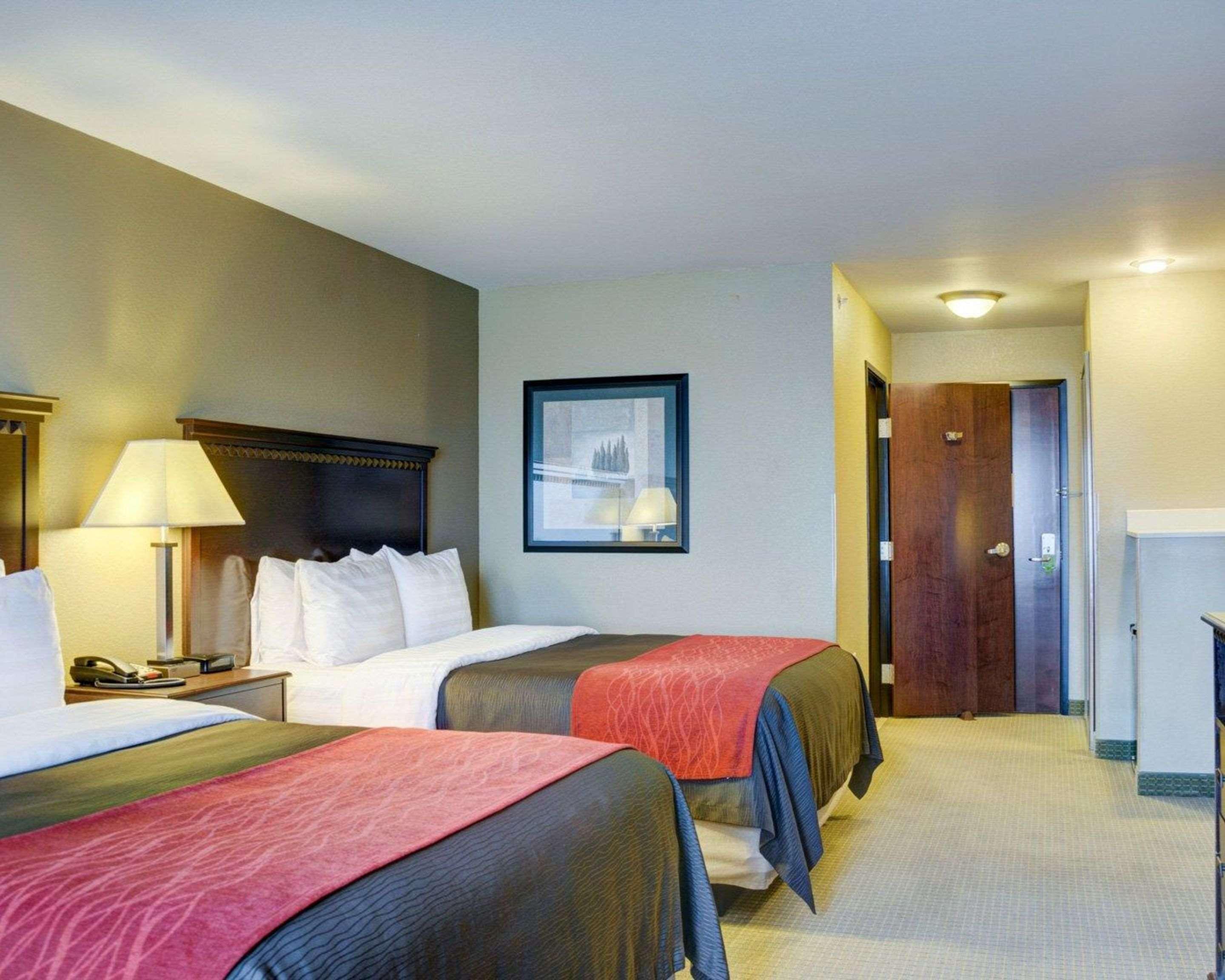 Comfort Inn & Suites Russellville I-40 Экстерьер фото