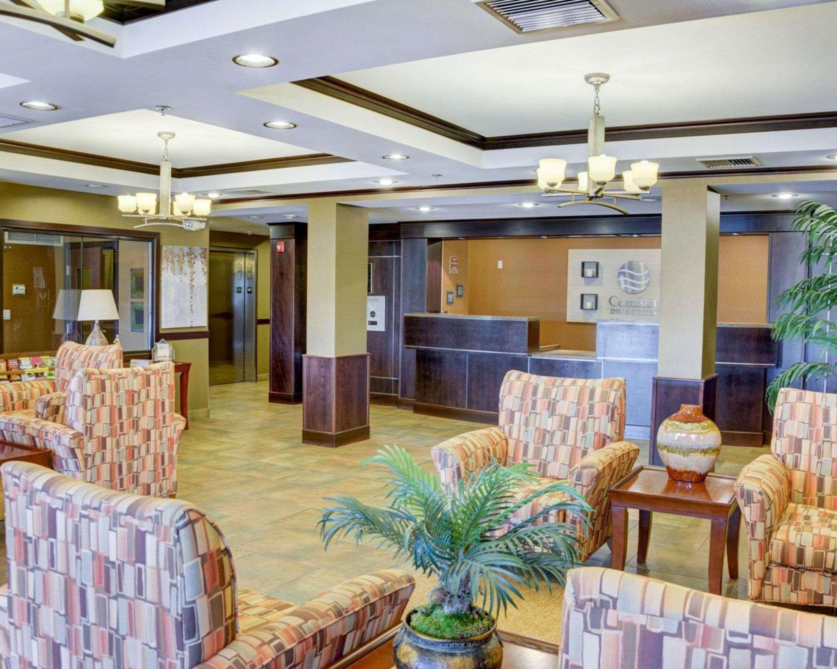 Comfort Inn & Suites Russellville I-40 Экстерьер фото