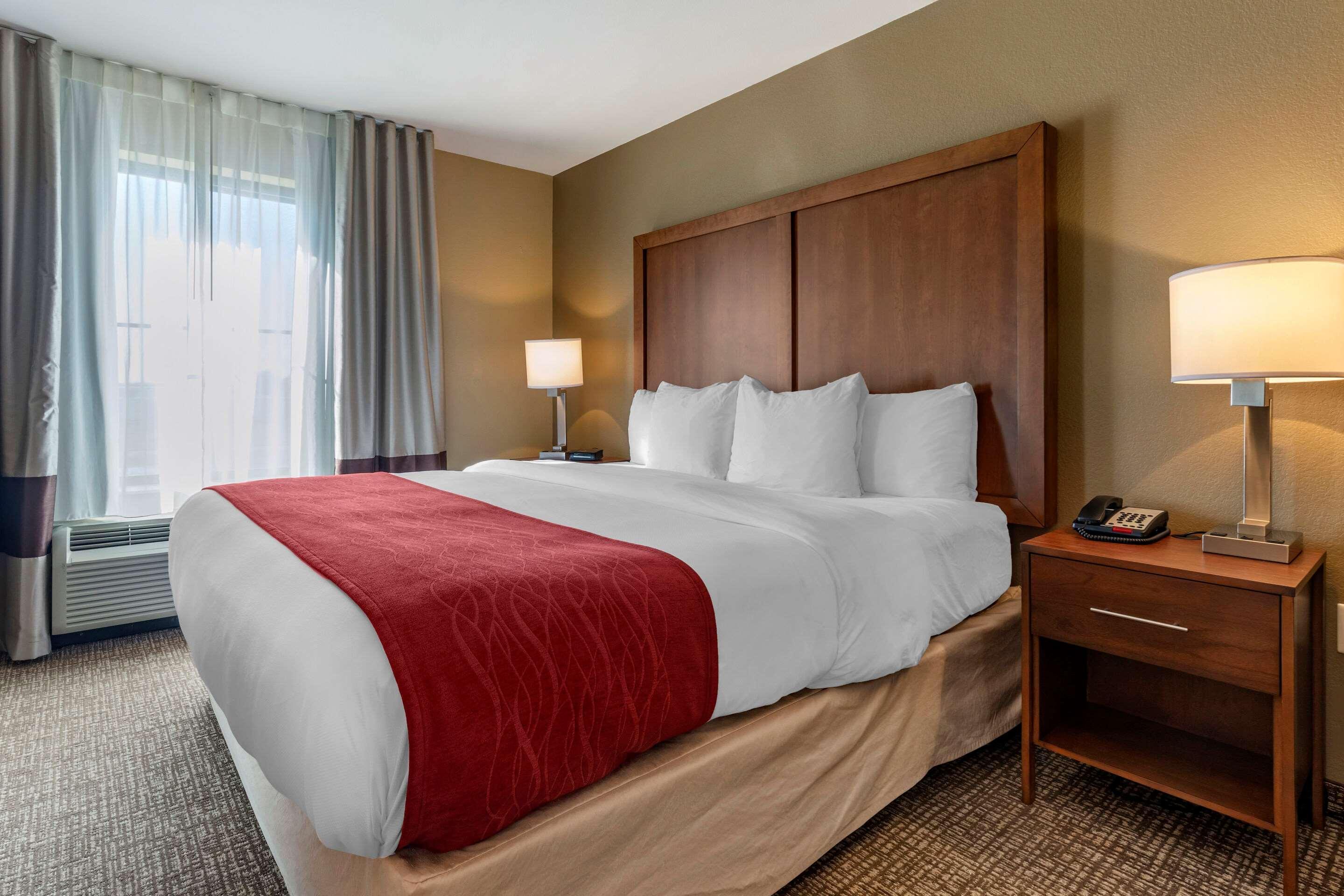 Comfort Inn & Suites Russellville I-40 Экстерьер фото